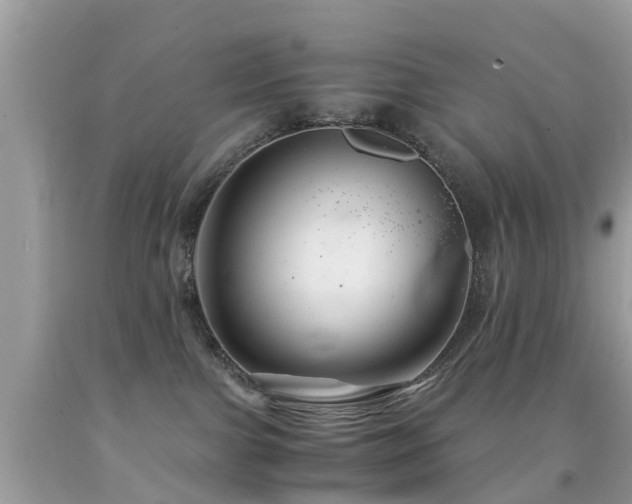 X0000091940091200709051531