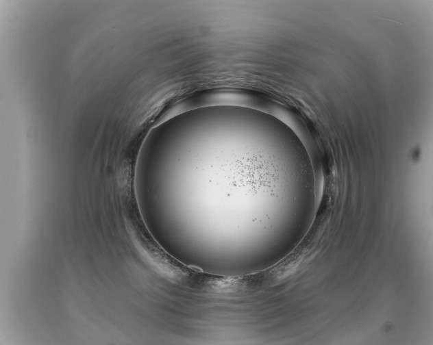 X0000091940092200709051531