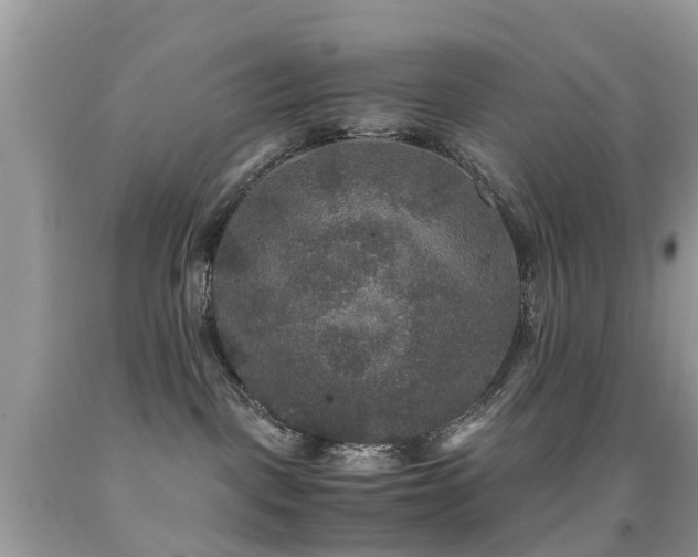 X0000091940093200709051531