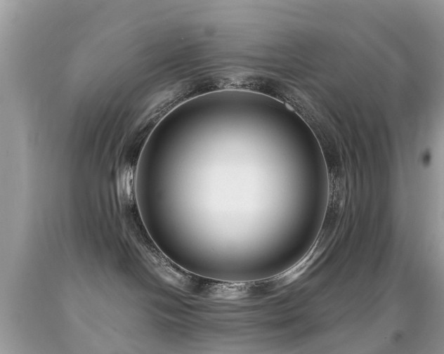 X0000091940094200709051531