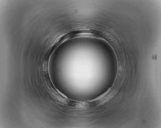 X0000091940096200709051531