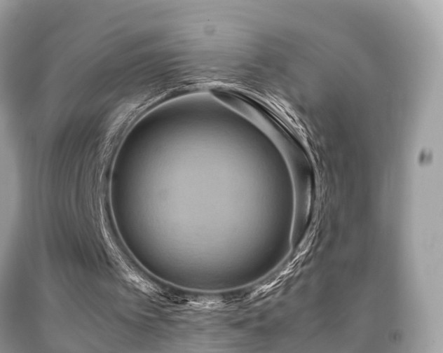 X0000091940097200709051530