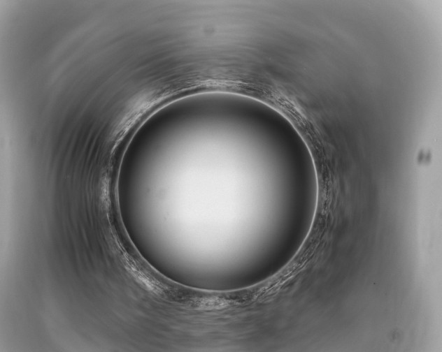 X0000091940098200709051530