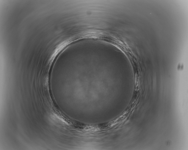 X0000091940099200709051530