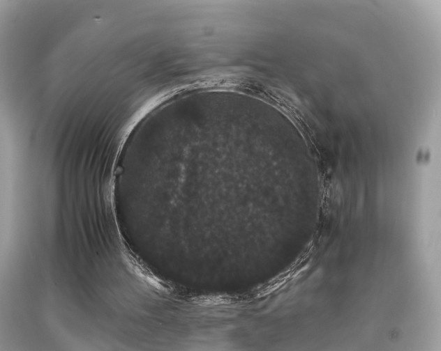 X0000091940100200709051530