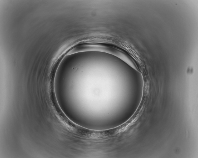 X0000091940101200709051530