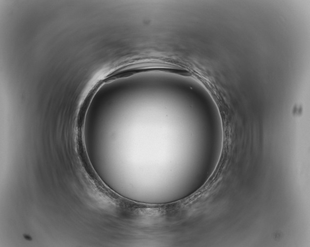 X0000091940102200709051530