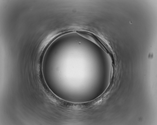 X0000091940103200709051530