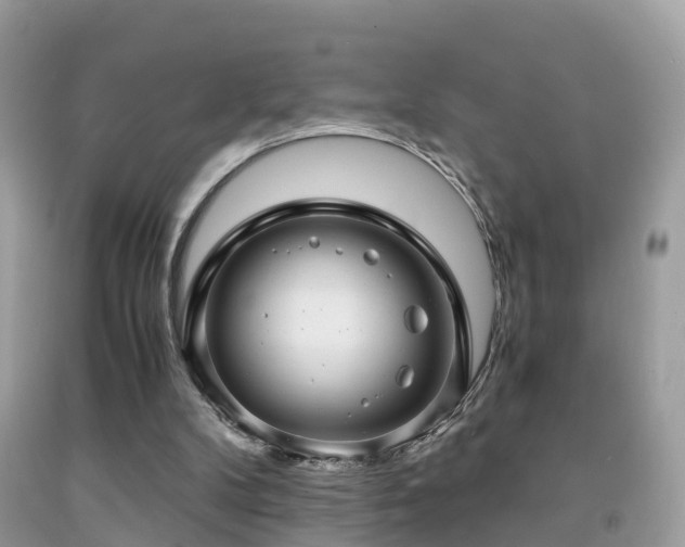 X0000091940104200709051530