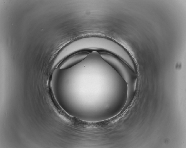 X0000091940105200709051530