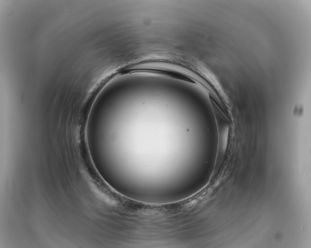 X0000091940106200709051530