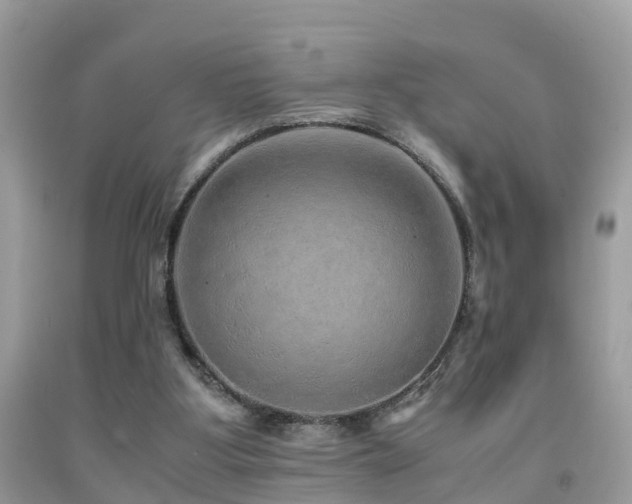 X0000091940107200709051530