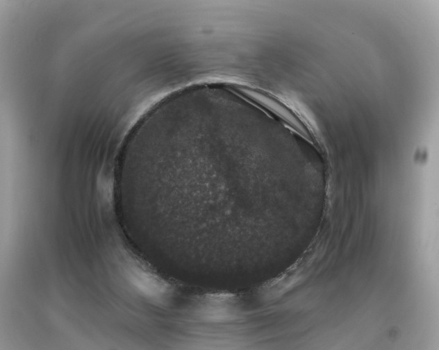 X0000091940108200709051530