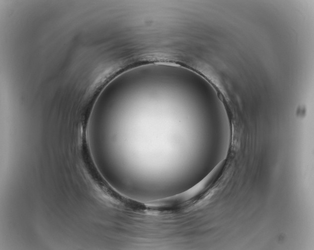 X0000091940109200709051530