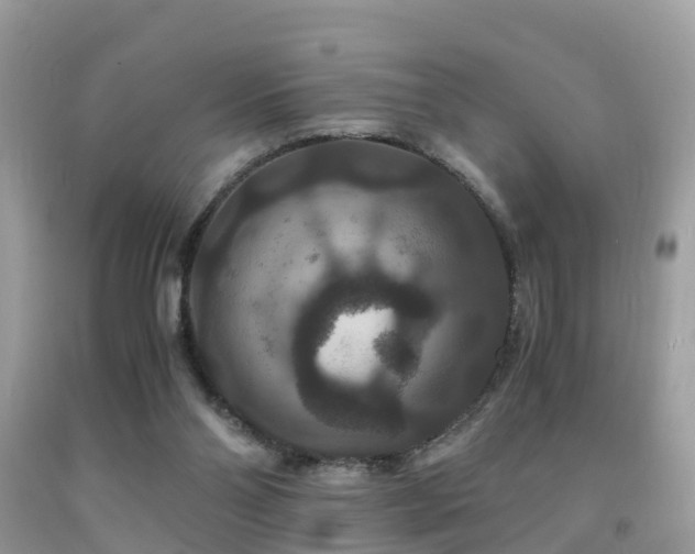 X0000091940110200709051530