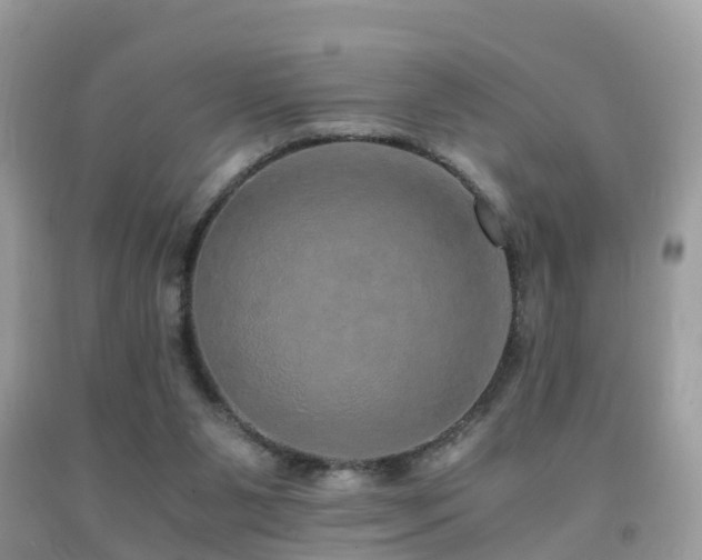 X0000091940111200709051530