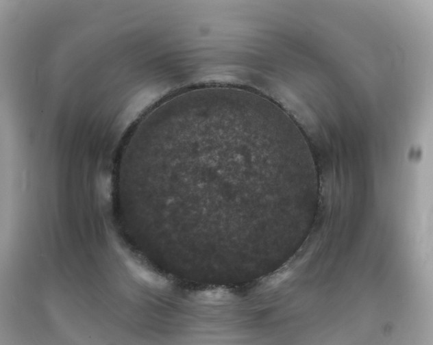 X0000091940112200709051530