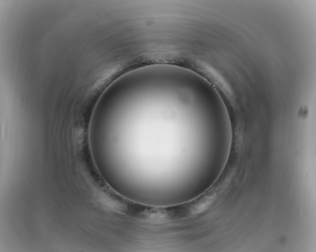 X0000091940113200709051530