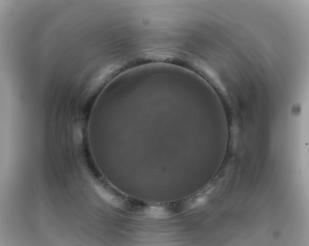 X0000091940114200709051530