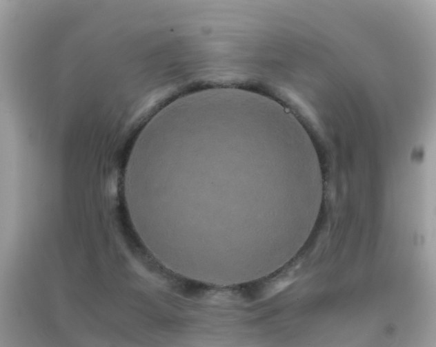 X0000091940115200709051530