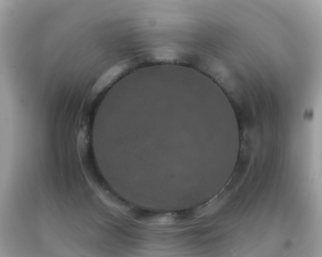 X0000091940116200709051530