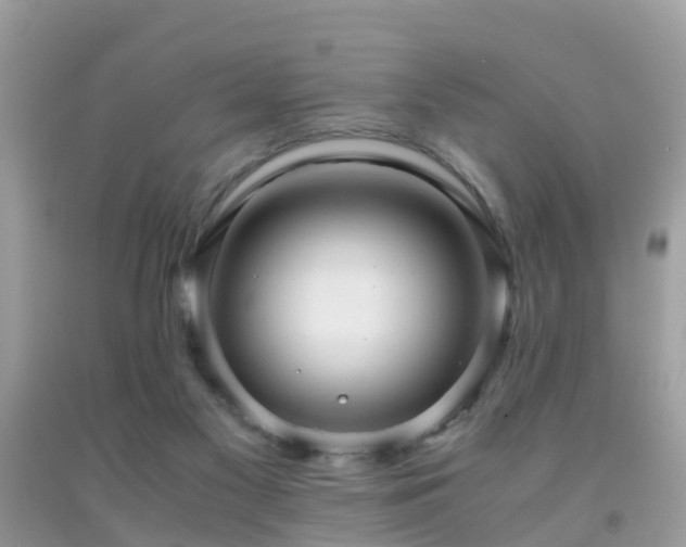 X0000091940117200709051530