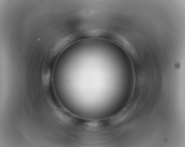 X0000091940118200709051530