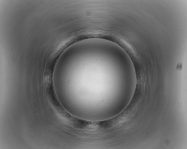 X0000091940119200709051530