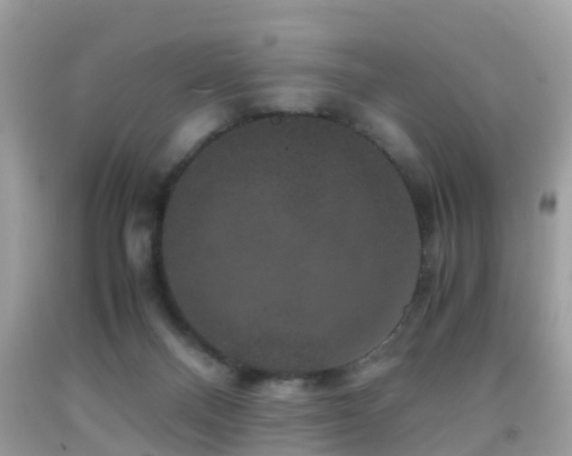 X0000091940120200709051530