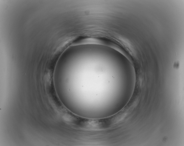 X0000091940121200709051530