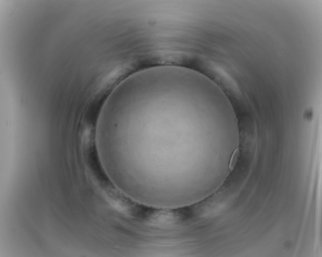 X0000091940123200709051530