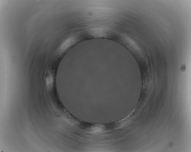 X0000091940124200709051530