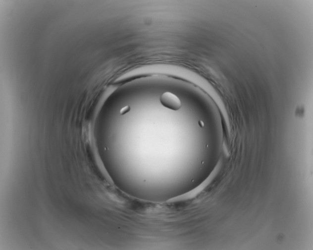 X0000091940125200709051530