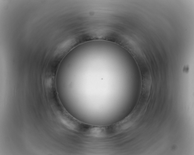 X0000091940126200709051530