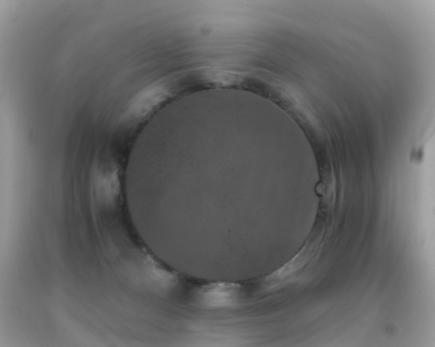 X0000091940128200709051530