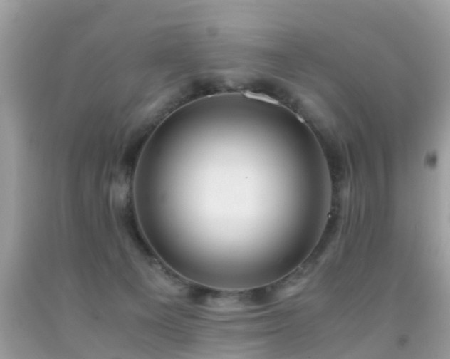 X0000091940129200709051530