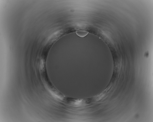 X0000091940130200709051530