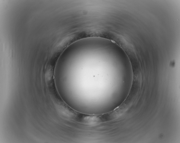 X0000091940133200709051530