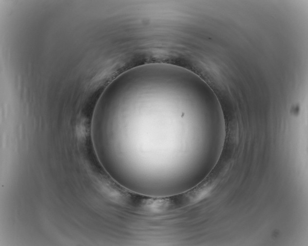 X0000091940135200709051530