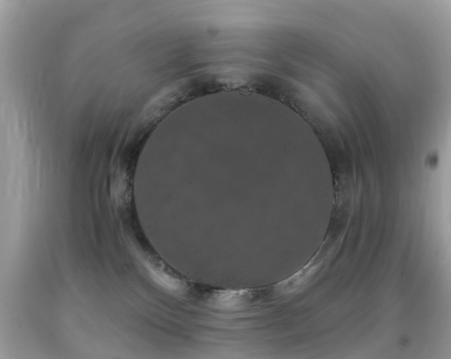 X0000091940136200709051530