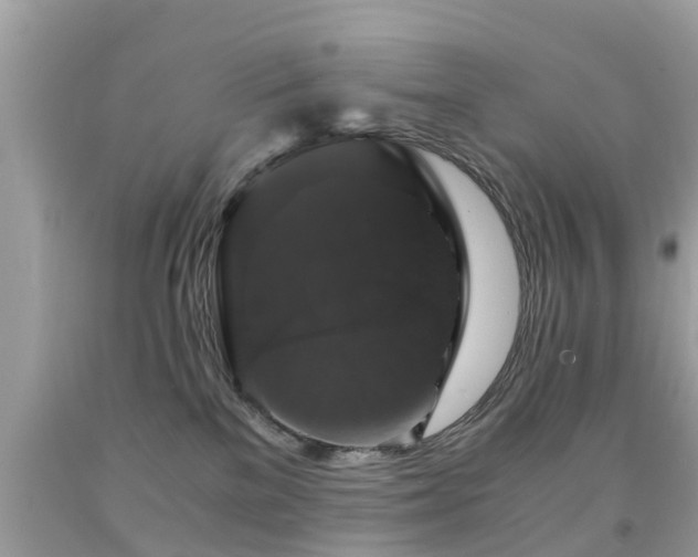 X0000091940137200709051530