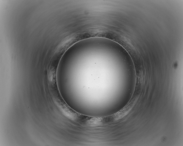 X0000091940138200709051530