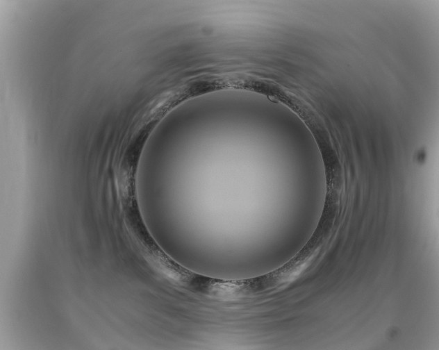 X0000091940139200709051530