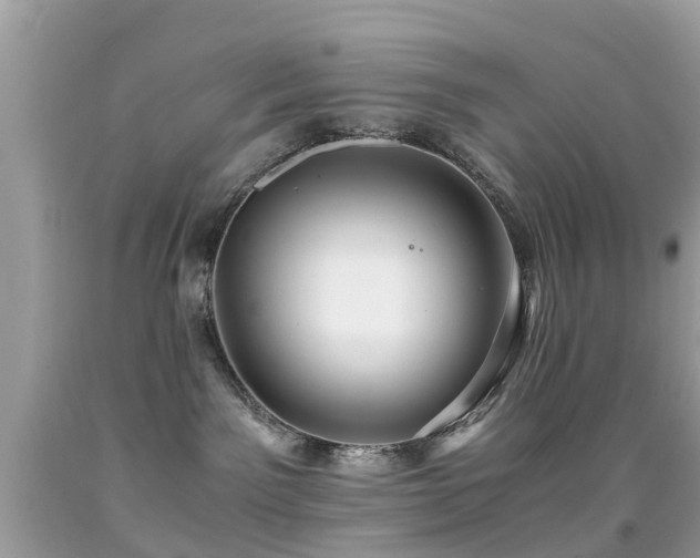 X0000091940141200709051530