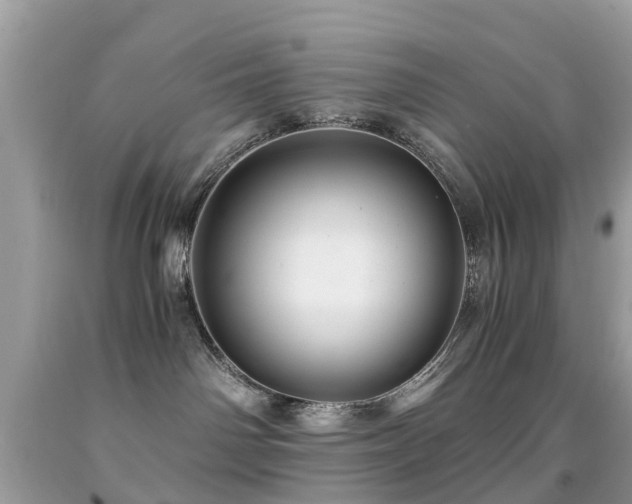 X0000091940142200709051530