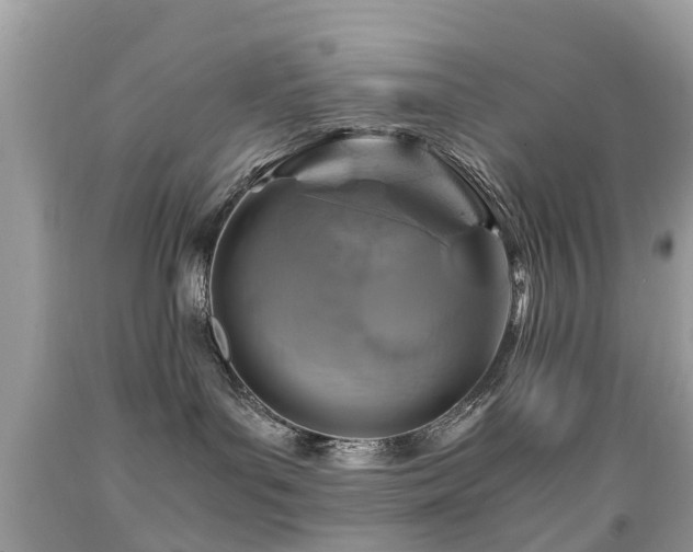 X0000091940143200709051530