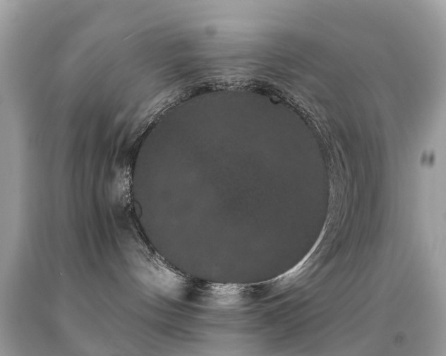 X0000091940144200709051530