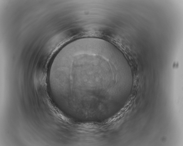 X0000091940146200709051529