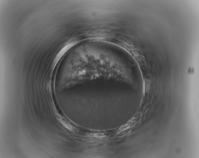 X0000091940147200709051529