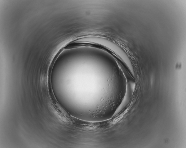 X0000091940148200709051529